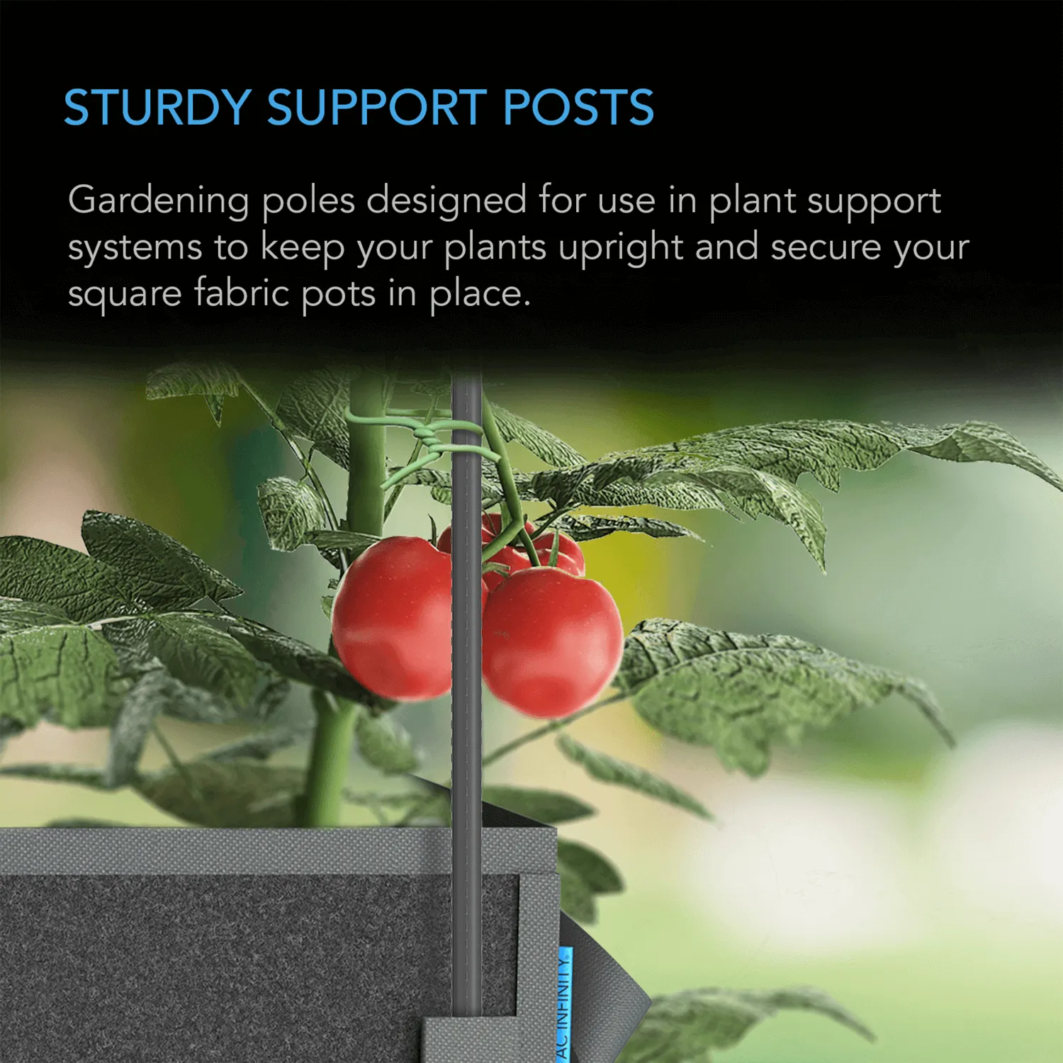 AC Infinity Garden Plant Stakes, 5 Feet Long, 25-Pack