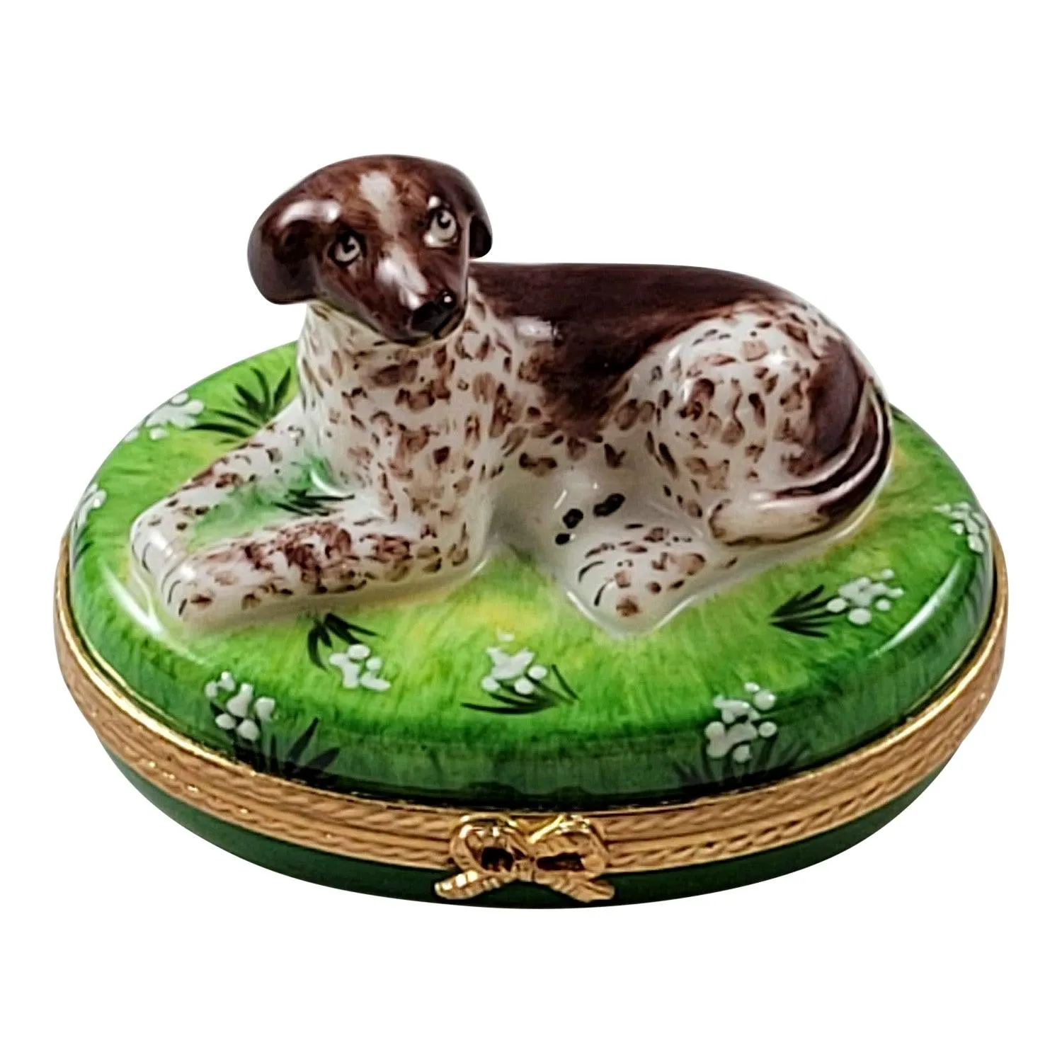 German Short Haired Pointer