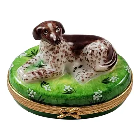 German Short Haired Pointer