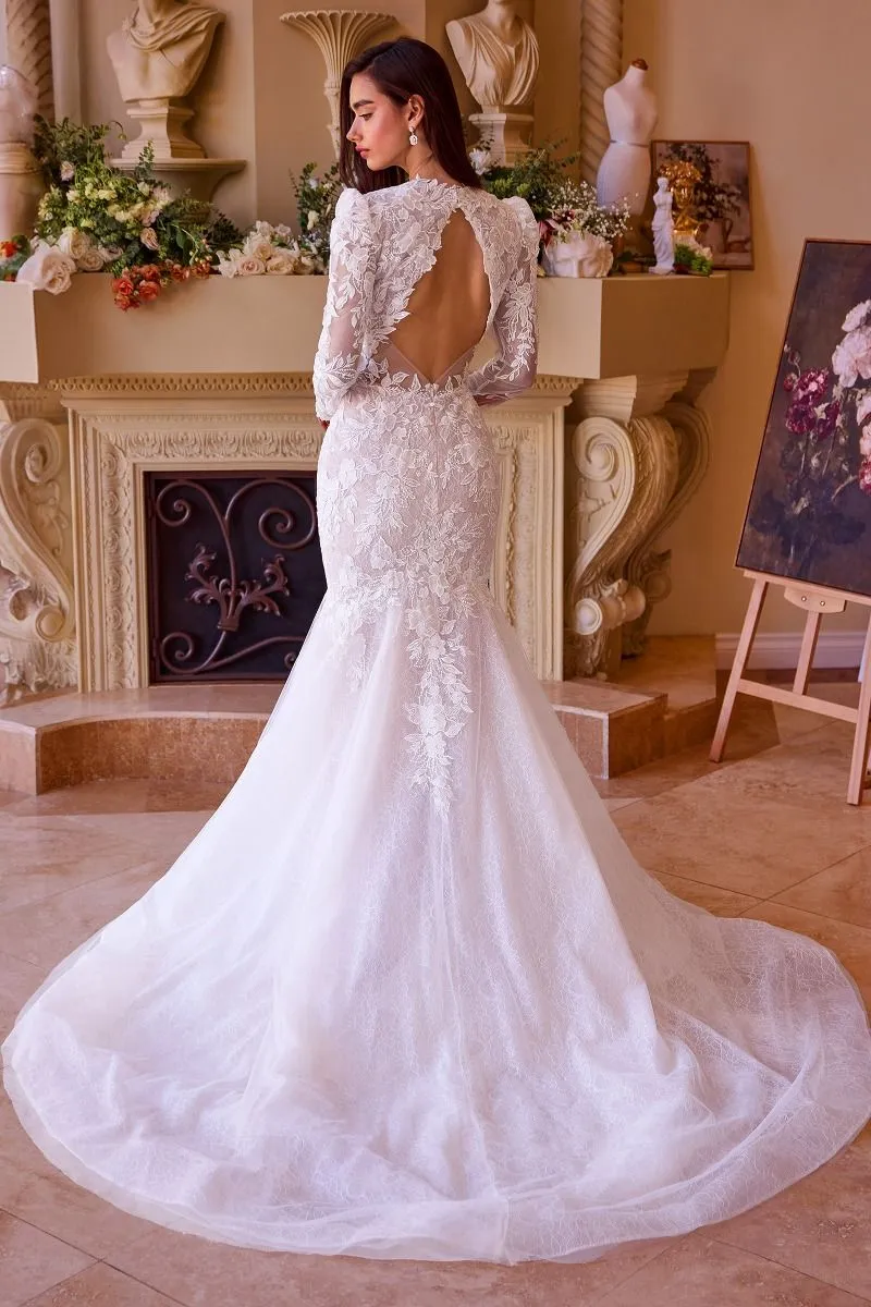 Long Sleeve Lace Mermaid Bridal Gown